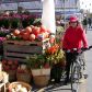 Par une belle journée d'octobre, parmi les citrouilles et les fleurs d'automne, en vélo au Marché Atwater de Montréal.